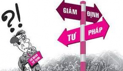 CÁCH TÍNH TỶ LỆ THƯƠNG TẬT? CÁCH XÁC ĐỊNH TÍNH TỶ LỆ THƯƠNG TẬT LÀ BAO NHIÊU PHẦN TRĂM THEO LUẬT MỚI NHẤT?
